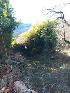 Terrain à vendre de 6 393,00 m² SAINT ETIENNE VALLEE FRANCAISE (48)