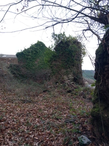 Terrain à vendre avec ruine  SAINT ETIENNE VALLEE FRANCAISE (48)