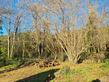 Propriété 9 pièces GENERARGUES (30)