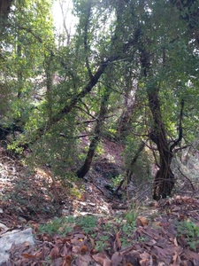 Terrain à vendre de 6 393,00 m² SAINT ETIENNE VALLEE FRANCAISE (48)