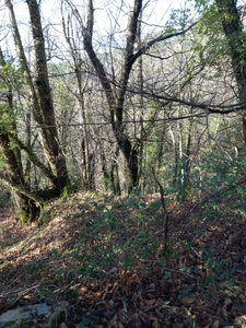 Terrain à vendre de 6 393,00 m² SAINT ETIENNE VALLEE FRANCAISE (48)