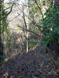 Terrain à vendre de 6 393,00 m² SAINT ETIENNE VALLEE FRANCAISE (48)