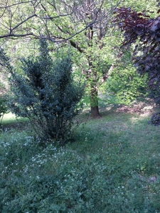 Maison à vendre 5 pièces SAINT PAUL LA COSTE (30)