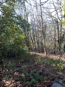 Terrain à vendre de 6 393,00 m² SAINT ETIENNE VALLEE FRANCAISE (48)
