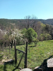 Maison de hameau à vendre SAINT MARTIN DE BOUBAUX (48)