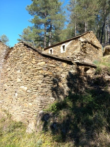 Mas en ruine  AUJAC (30)