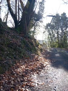Terrain à vendre de 6 393,00 m² SAINT ETIENNE VALLEE FRANCAISE (48)