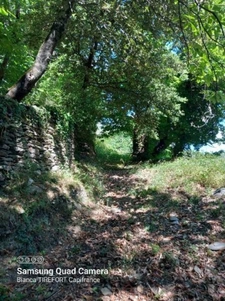 Terrain à vendre avec ruine  SAINT ETIENNE VALLEE FRANCAISE (48)