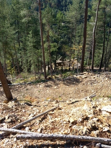 Mas en ruine  AUJAC (30)