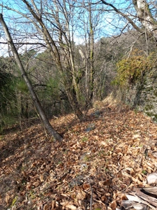 Terrain à vendre de 6 393,00 m² SAINT ETIENNE VALLEE FRANCAISE (48)