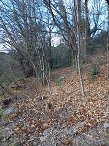Terrain à vendre de 6 393,00 m² SAINT ETIENNE VALLEE FRANCAISE (48)