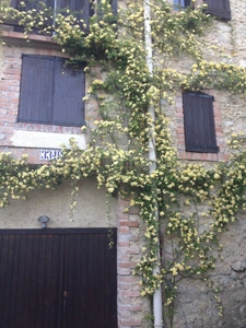 Maison avec piscine intérieur  ALES (30)