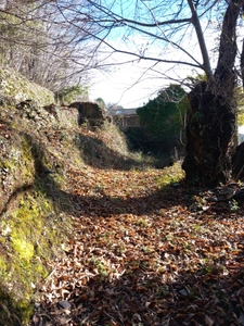 Terrain à vendre de 6 393,00 m² SAINT ETIENNE VALLEE FRANCAISE (48)