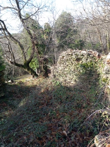 Terrain à vendre de 6 393,00 m² SAINT ETIENNE VALLEE FRANCAISE (48)