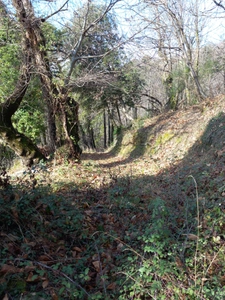 Terrain à vendre de 6 393,00 m² SAINT ETIENNE VALLEE FRANCAISE (48)