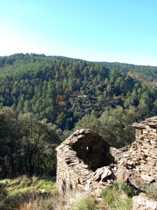 Mas en ruine  AUJAC (30)