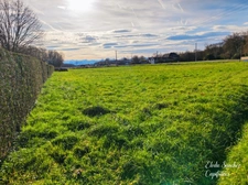 Terrain à vendre à Escondeaux (65)