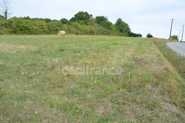 Terrain à construire à vendre  ALLIGNY COSNE (58200)