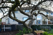 Dpt Cher (18), à vendre proche de NEVERS maison P8   Garage atelier, terrain batir