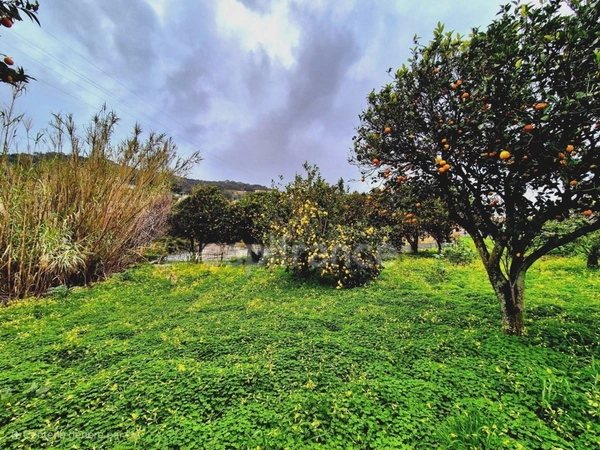 Terrain à vendre constructible -  Bastia - Haute Corse - proche du centre ville 