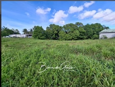 Terrain  à vendre  SAINTE ANNE (971)