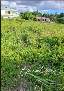 Terrain  à vendre  SAINTE ANNE (971)