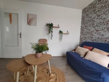 Appartement T1 FONTAINE LES DIJON (21)