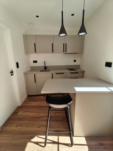 DIJON CENTRE - APPARTEMENT REFAIT A NEUF Meublé et Equipé