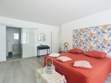 Maison à vendre 7 pièces 4 chambres 1 bureau 1 dependance MONNAIE proche Tours (37)