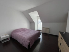 Maison-Appartement à vendre 4 pièces -Lailly En Val proche Beaugency et de Mer entre Blois et Orleans.
