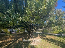 Charming property with swimming pool and outbuilding – 156 m² – Landscaped grounds 1,200 m² – Saint-Zacharie