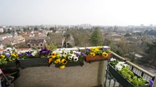 Appartement viager à vendre en nue-propriété 4 pièces EPINAY SUR SEINE (93)