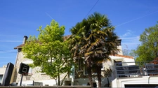 COUP DE CŒUR ASSURÉ pour cette magnifique maison en pierre des années 1930, entièrement rénovée, alliant cachet de l’ancien, volumes exceptionnels et confort moderne, au cœur d’un environnement calme 