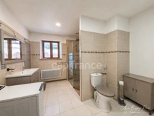 Ferme 4 pièces VILLECHETIVE (89), Plein pied, 2 chambres, cour, jardin, nombreuses dépendances, garage 2 voitures, Comble aménageable