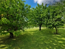 Maison à vendre 7 pièces 161 M2 PONT SUR YONNE (89), Terrain 1974 M2, 4 Chambres, Piscine avec abri 10 M X 5 m