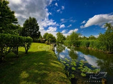 Maison à vendre 7 pièces 161 M2 PONT SUR YONNE (89), Terrain 1974 M2, 4 Chambres, Piscine avec abri 10 M X 5 m