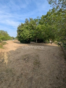 Terrain à vendre  ASNIERES (18)