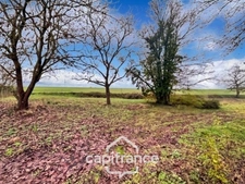 Terrain à vendre  ASNIERES (18)