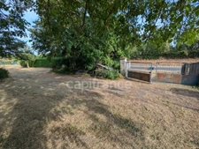 Terrain à vendre  ASNIERES (18)