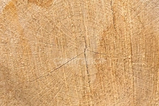 Propriété FORESTIERE GIRY (58)