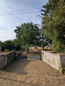 Terrain à vendre  ASNIERES (18)