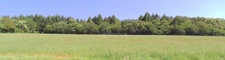 Propriété FORESTIERE GIRY (58)