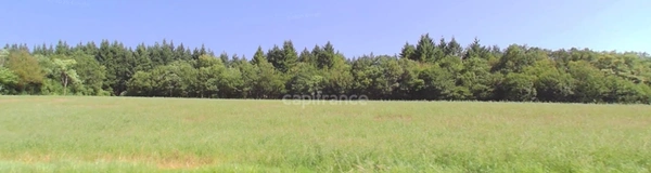 Propriété FORESTIERE GIRY (58)