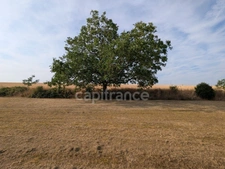 Terrain à vendre  ASNIERES (18)
