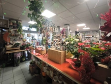 MURS ET FOND DE COMMERCE  à vendre NERONDES (18)