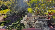 Maison  familiale de 145 m² sur un terrain paysager de 1920 m²