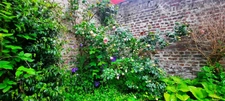 Dpt Aisne (02), A vendre SAINT QUENTIN Quartier Remicourt Maison 145m2, Jardin 