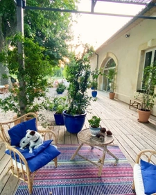 Mas à vendre 9 pièces CABANNES (13)