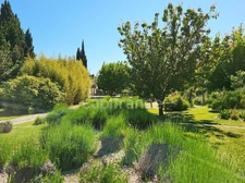 Mas à vendre 9 pièces CABANNES (13)