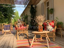 Mas à vendre 9 pièces CABANNES (13)